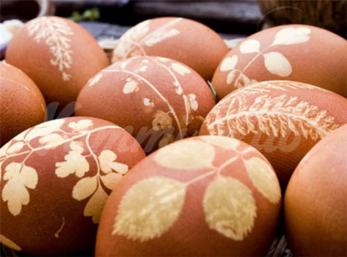 На фото Как покрасить яйца луковой шелухой: топ 5 вариантов