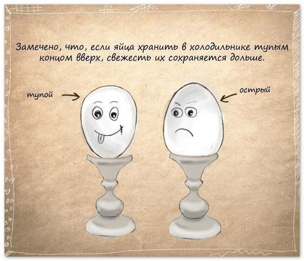 На фото Полезные советы для кухни в картинках