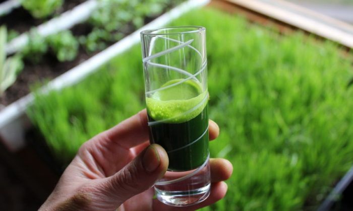 61ef4d30def479acb529f4ee88cea210